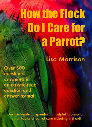 How The Flock Do I Care For A Parrot by Lisa Morrison. Available now at Amazon on kindle with paperback coming soon!