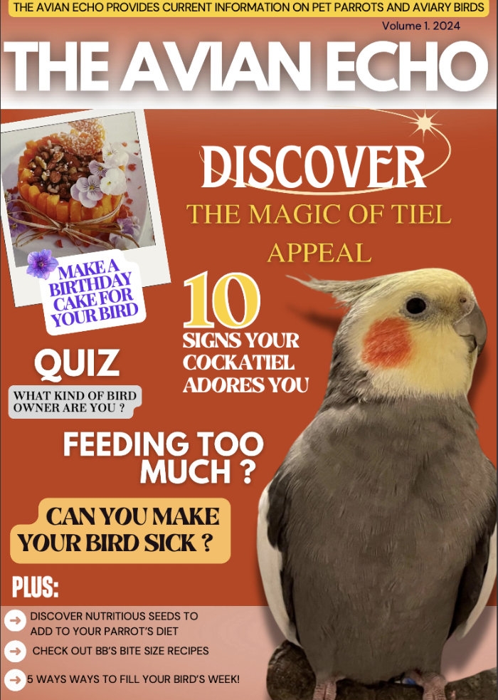 Tiel Time edition 1