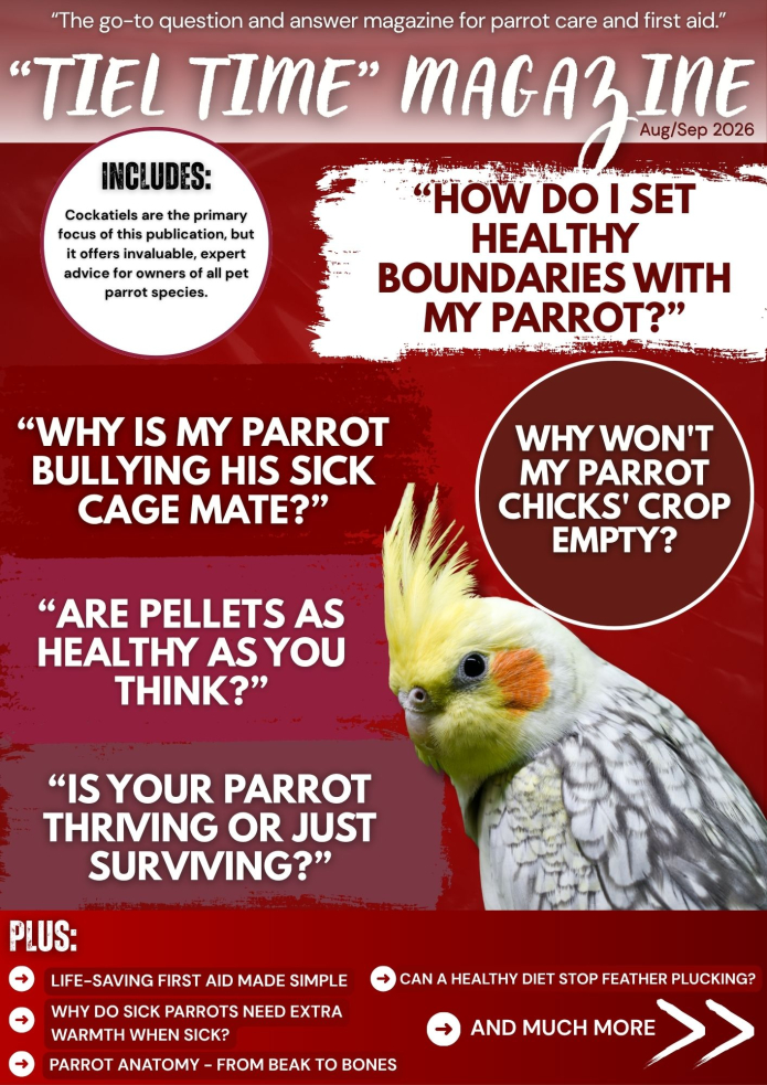 Tiel Time edition 17